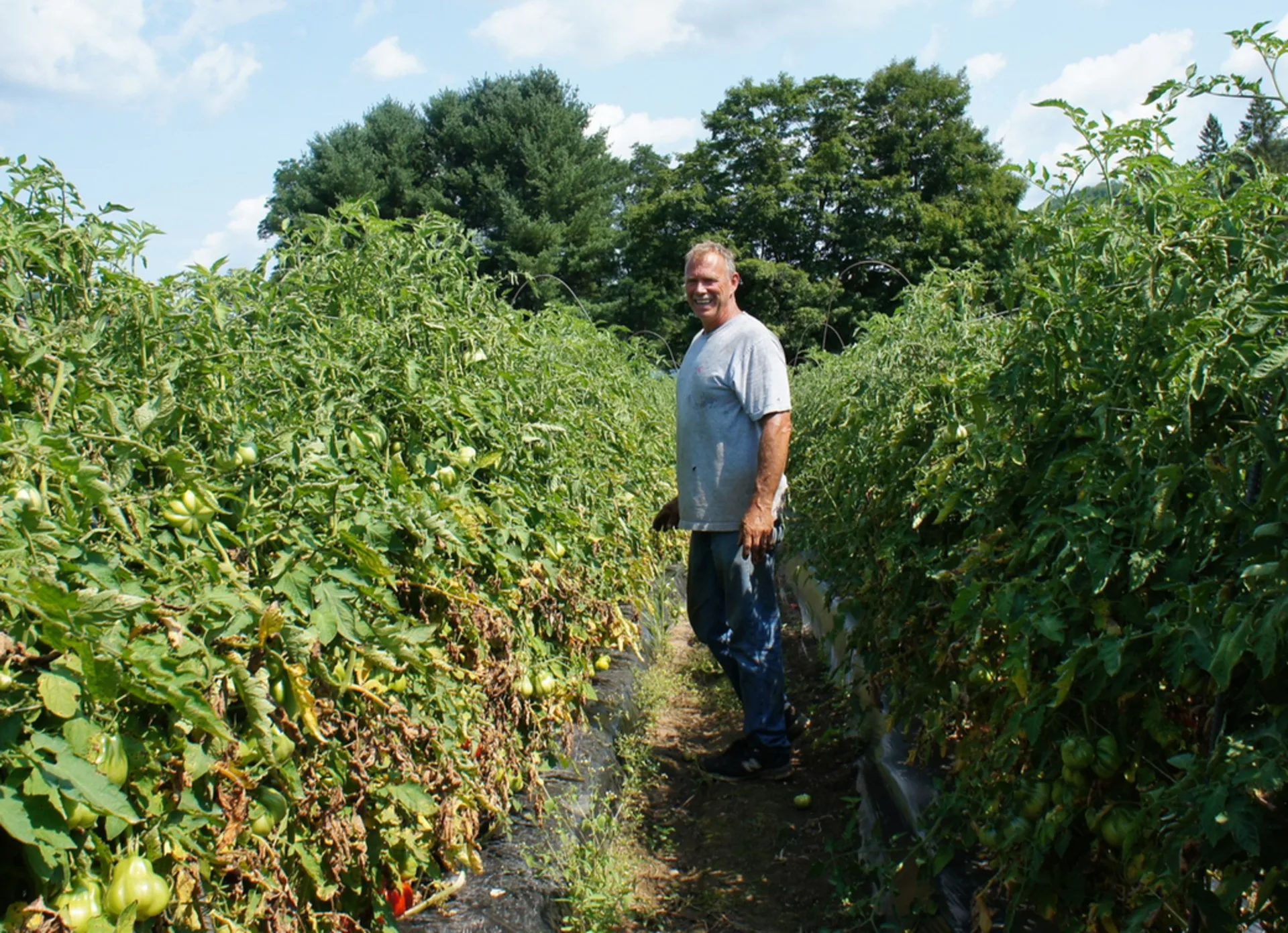 Mountain Sweet Berry Farm