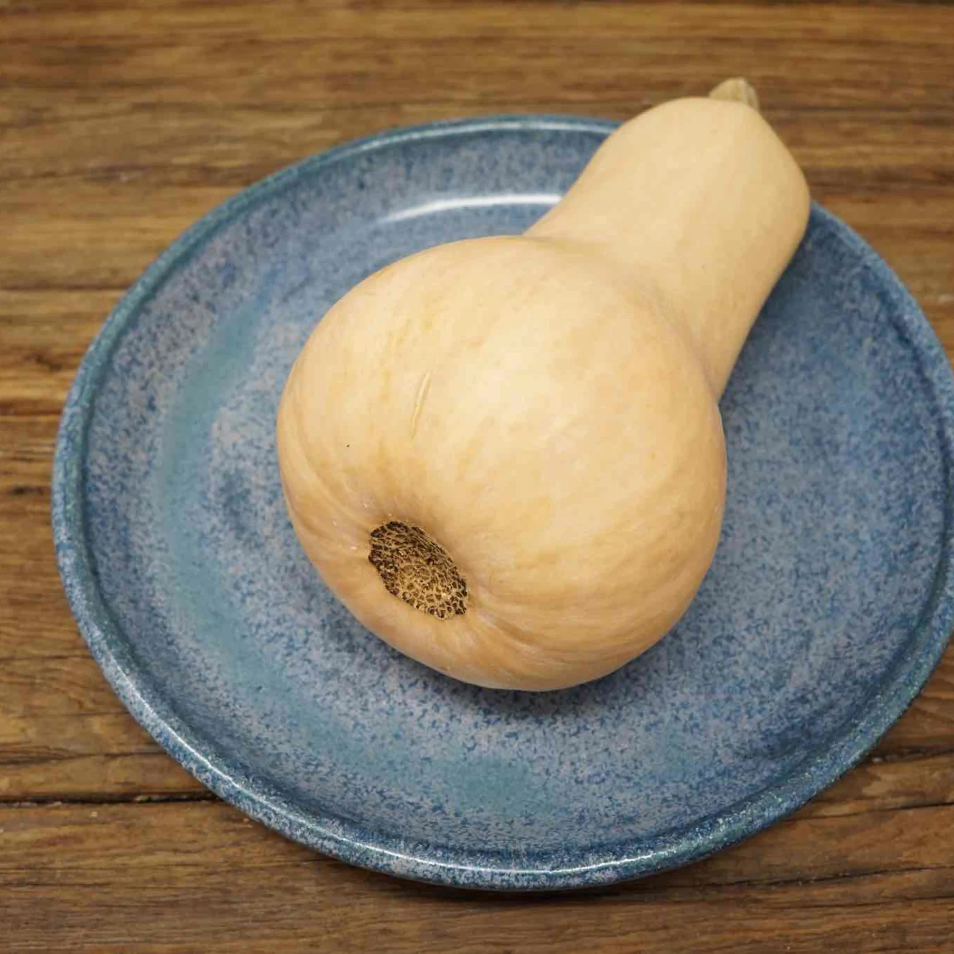 898 - Honeypatch Squash