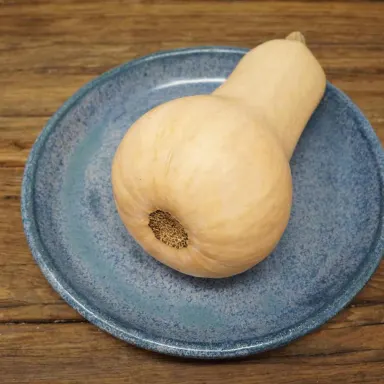898 - Honeypatch Squash