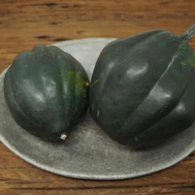 Acorn squash