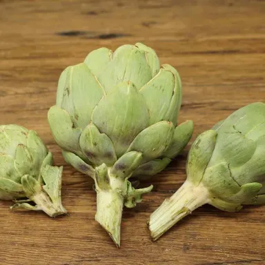 Artichoke, Green