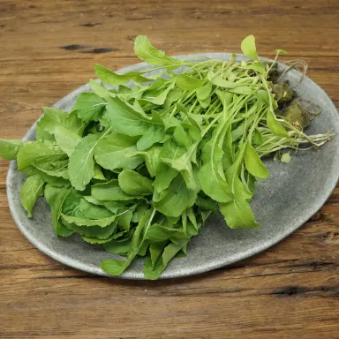Arugula