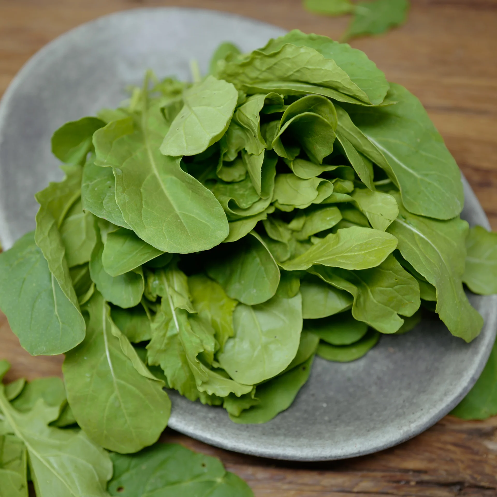 Arugula