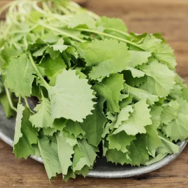 Baby Kale Bouquet