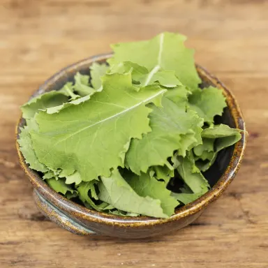 Baby Kale