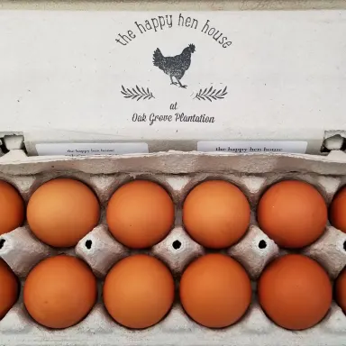 Brown Eggs Free Range