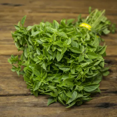 Basil, Bush