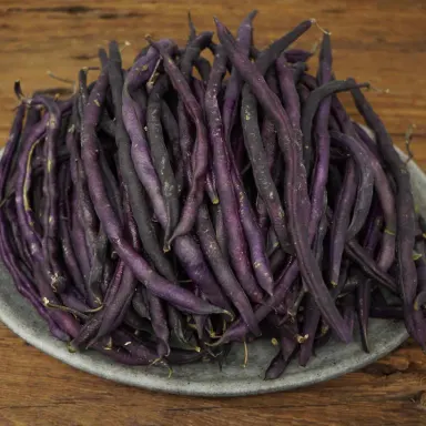 Bean, Purple String