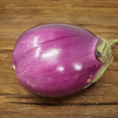 Beatrice Eggplant, Medium
