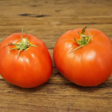 Beefsteak Tomato
