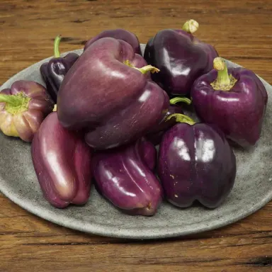 Bell Pepper, Purple 