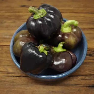 Bell peppers, Black