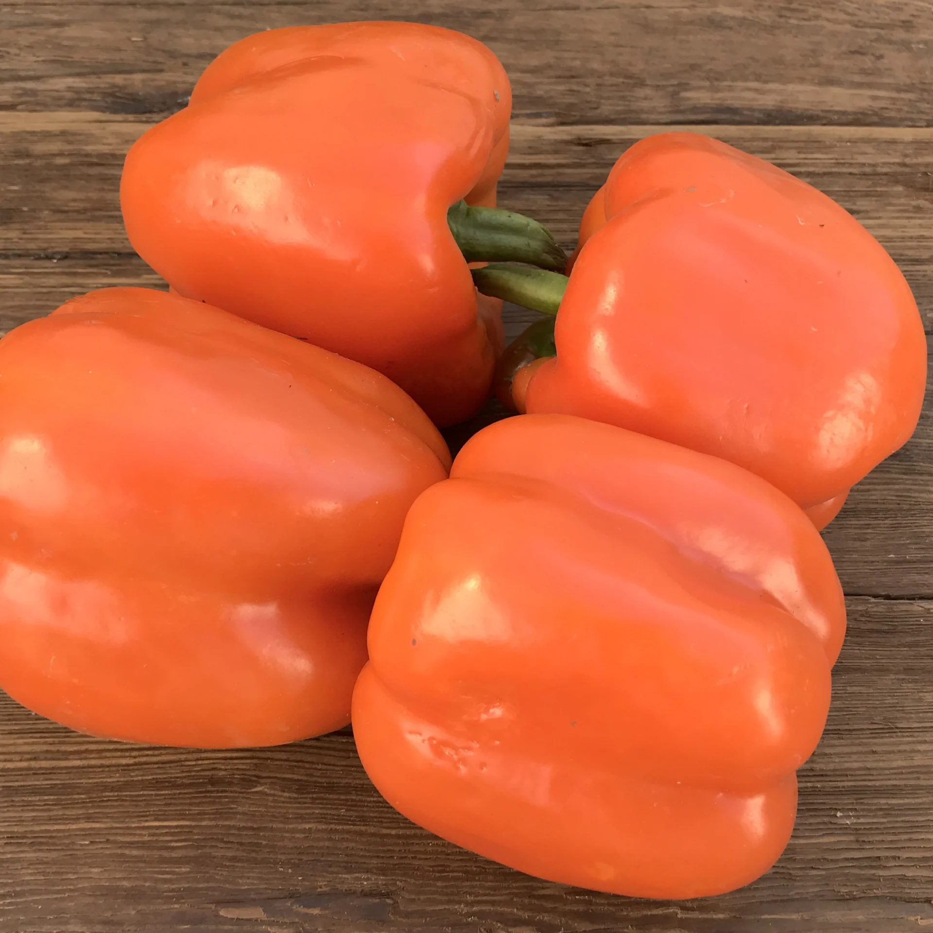 Bell peppers, Orange