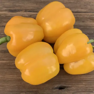 Bell peppers, Yellow