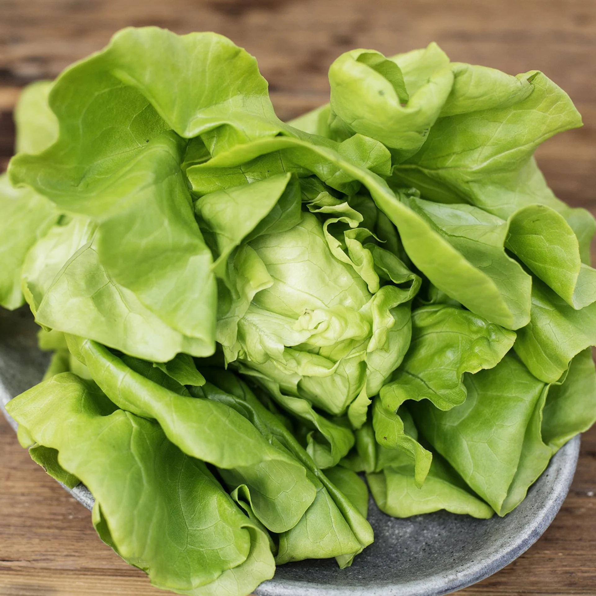 Bibb Lettuce, Green (Butter)