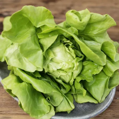Bibb Lettuce, Green (Butter)