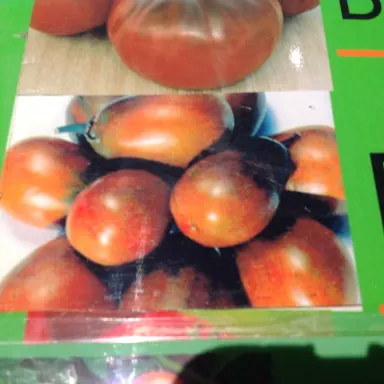 Black Plum