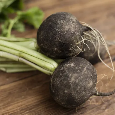 Black Radish