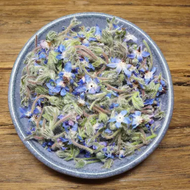 Borage Flower Blue