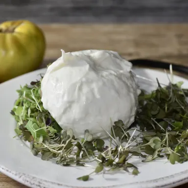Buffalo Mozzarella