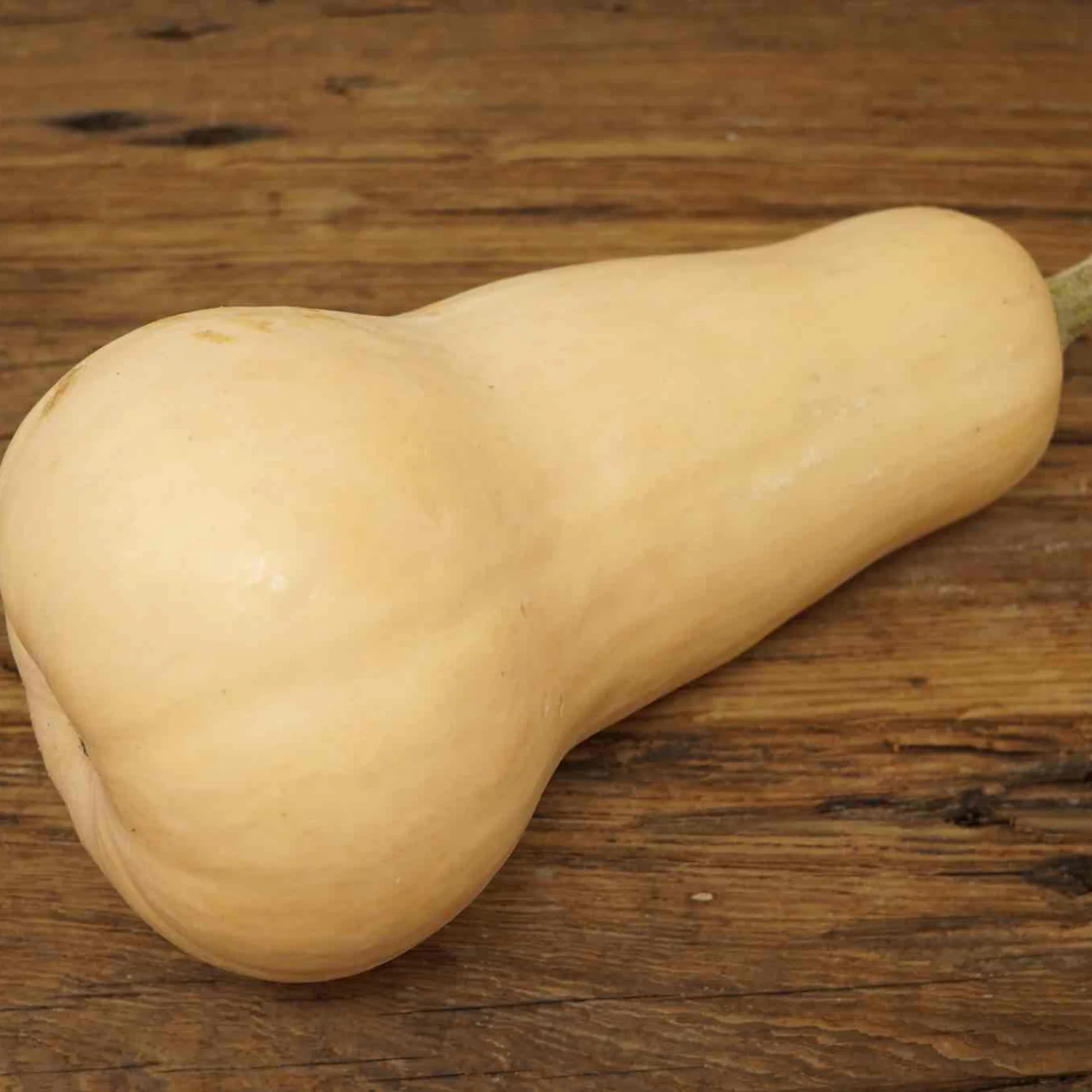 Butternut squash