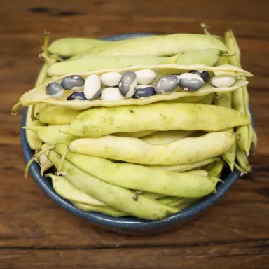 Calypso Beans