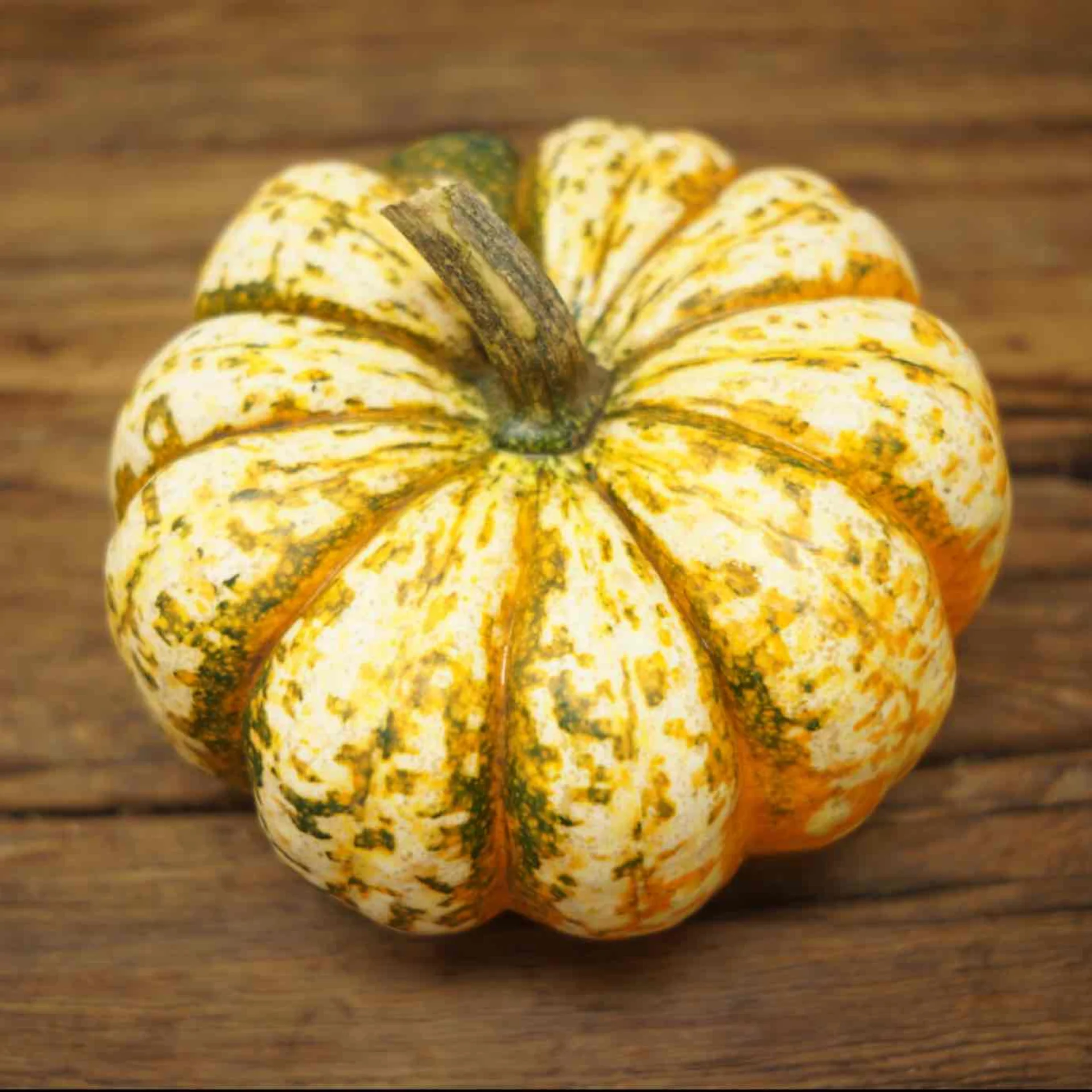 Carnival squash