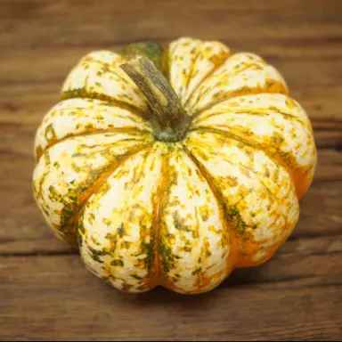 Carnival squash