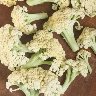 Cauliflower, Japanese Song