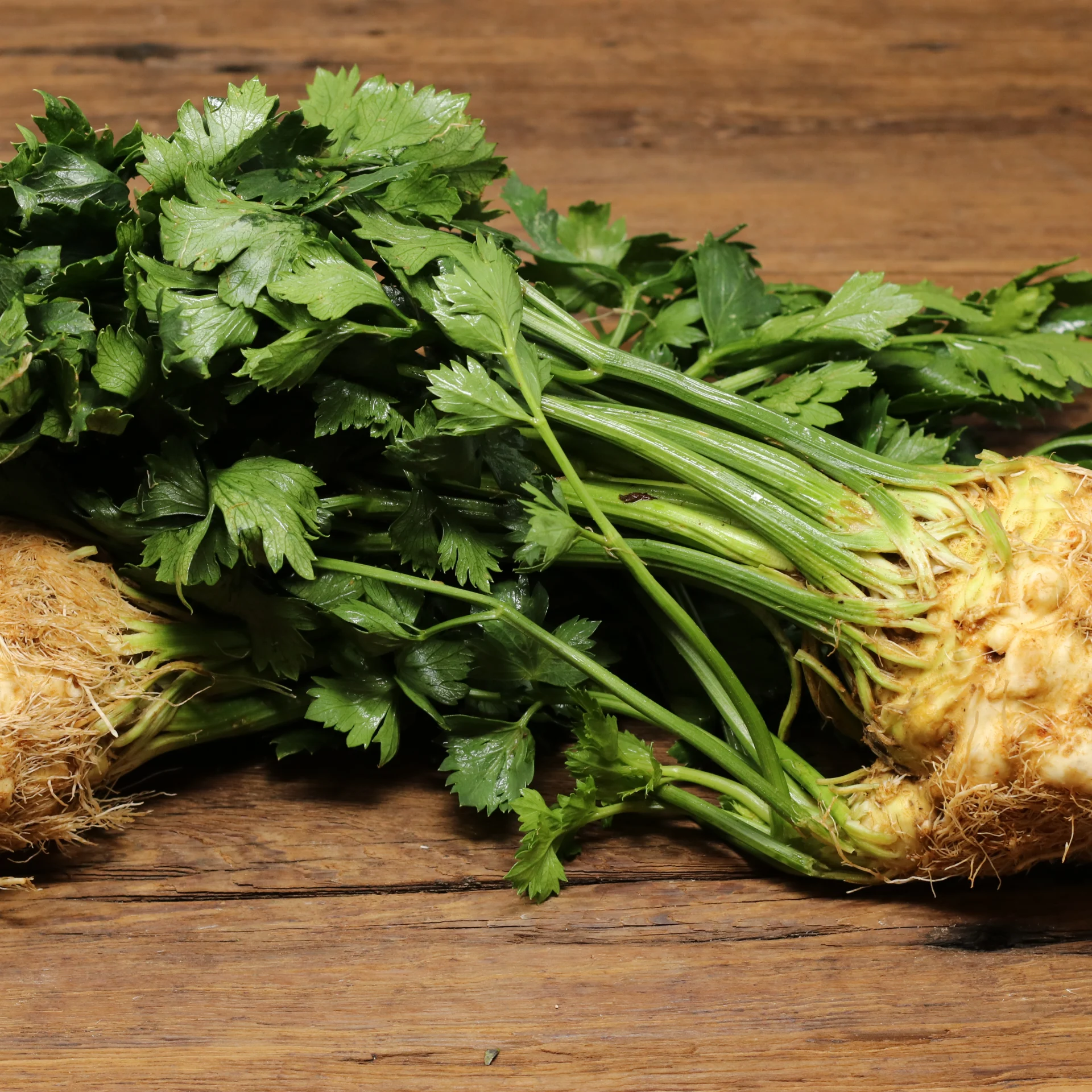 Celery Root