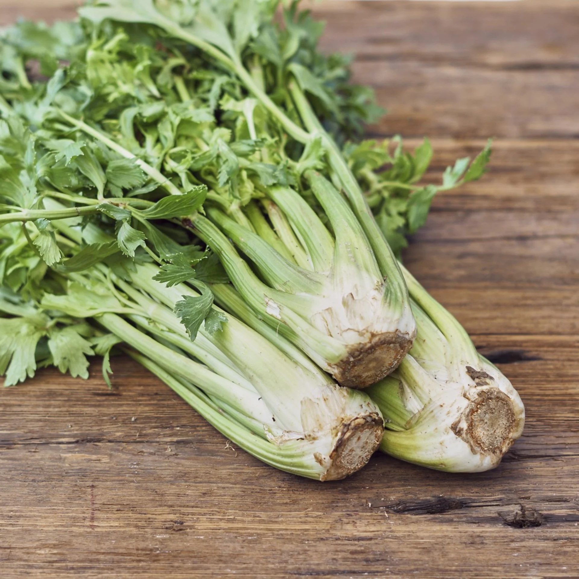 Celery