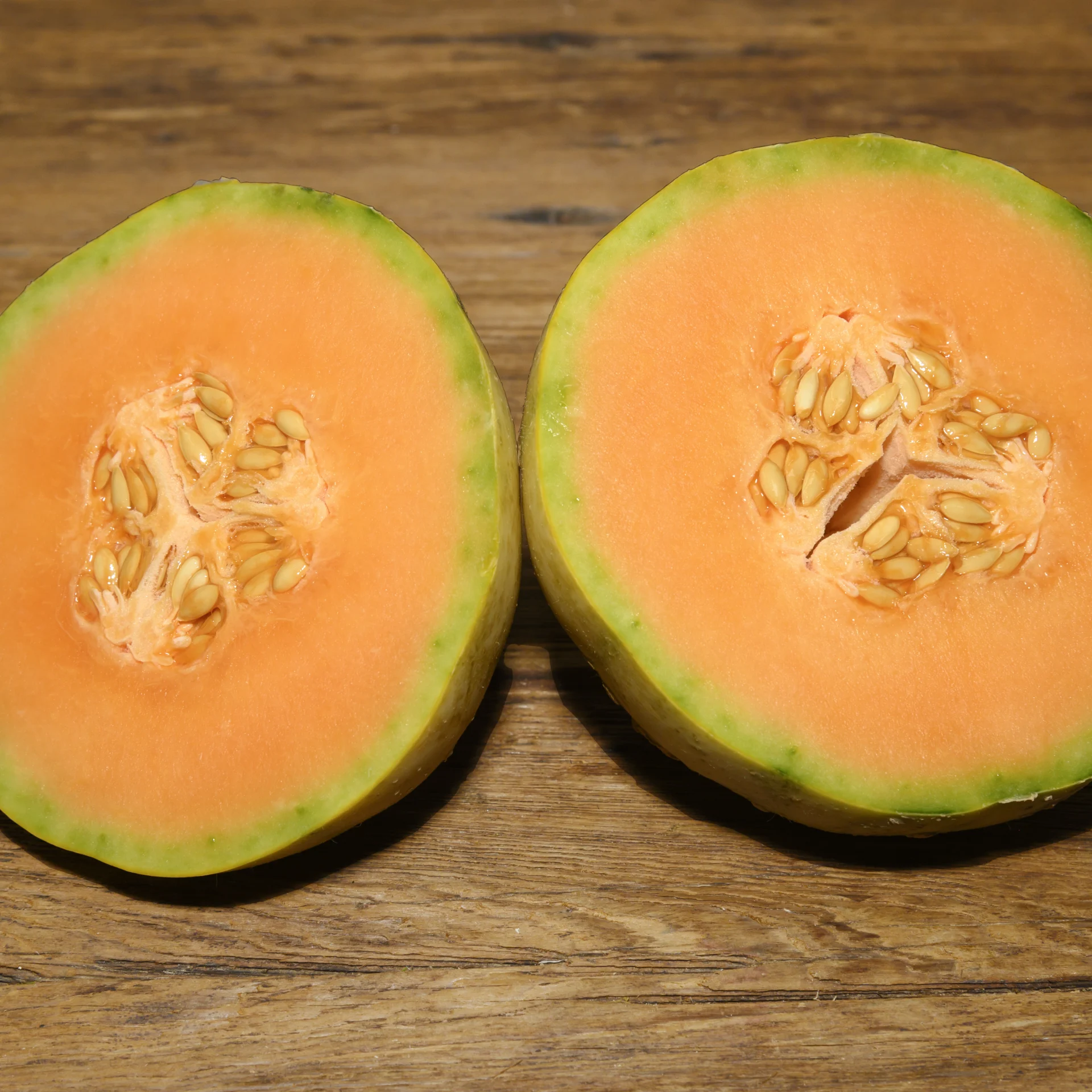 Charentais melon