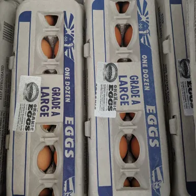 Chicken Eggs, Pasture Raised
