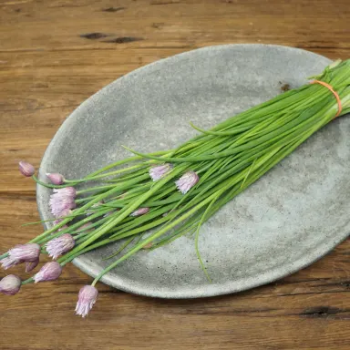 Chives