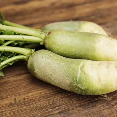 White Daikon Radish