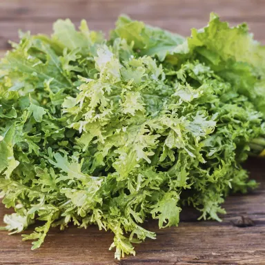 Dandelion, Green