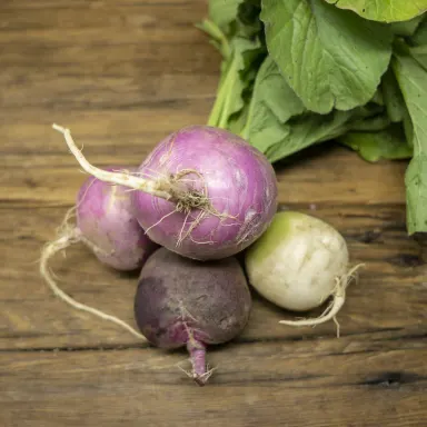 Easter egg radishes