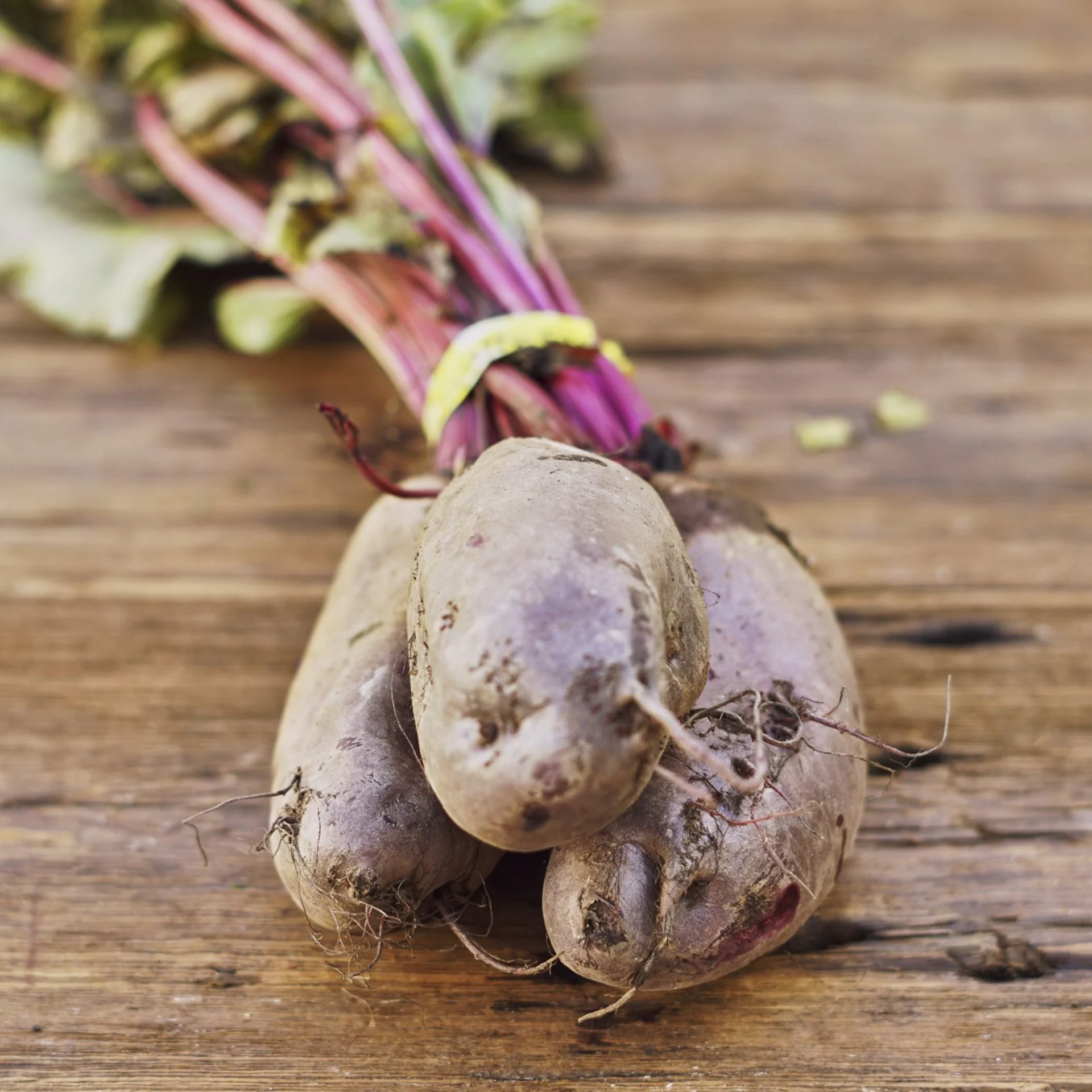 Forono Beets