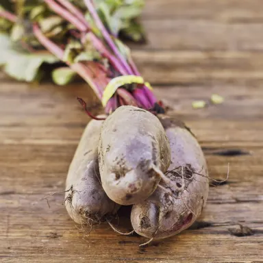 Forono Beets