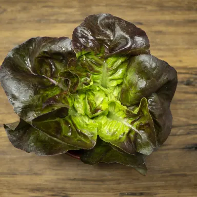 Gem Lettuce, Red