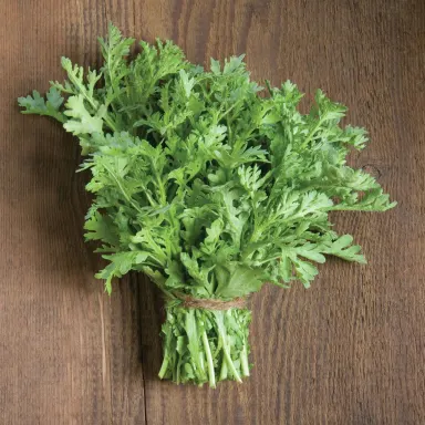 German Chamomile