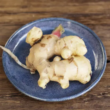 Ginger