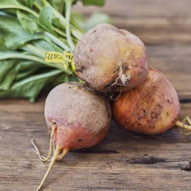 Golden Beets
