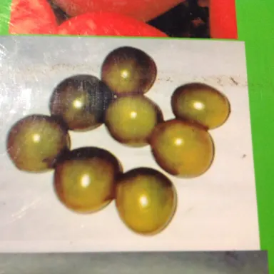 Green Grape