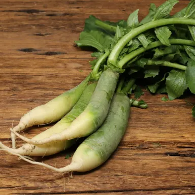 Green Meat Radish (Moo)