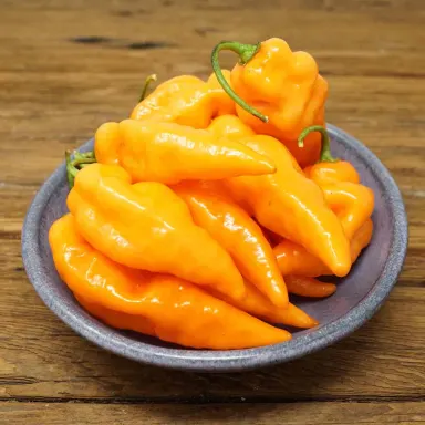 Habanada peppers