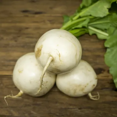 Hakurei Turnips (Tokyo)