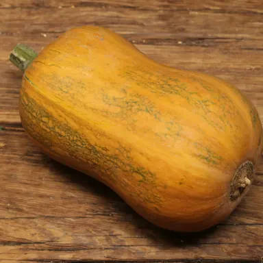 Honeynut Squash