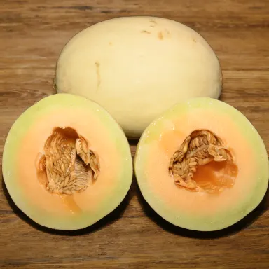 Orange Flesh Honeydew