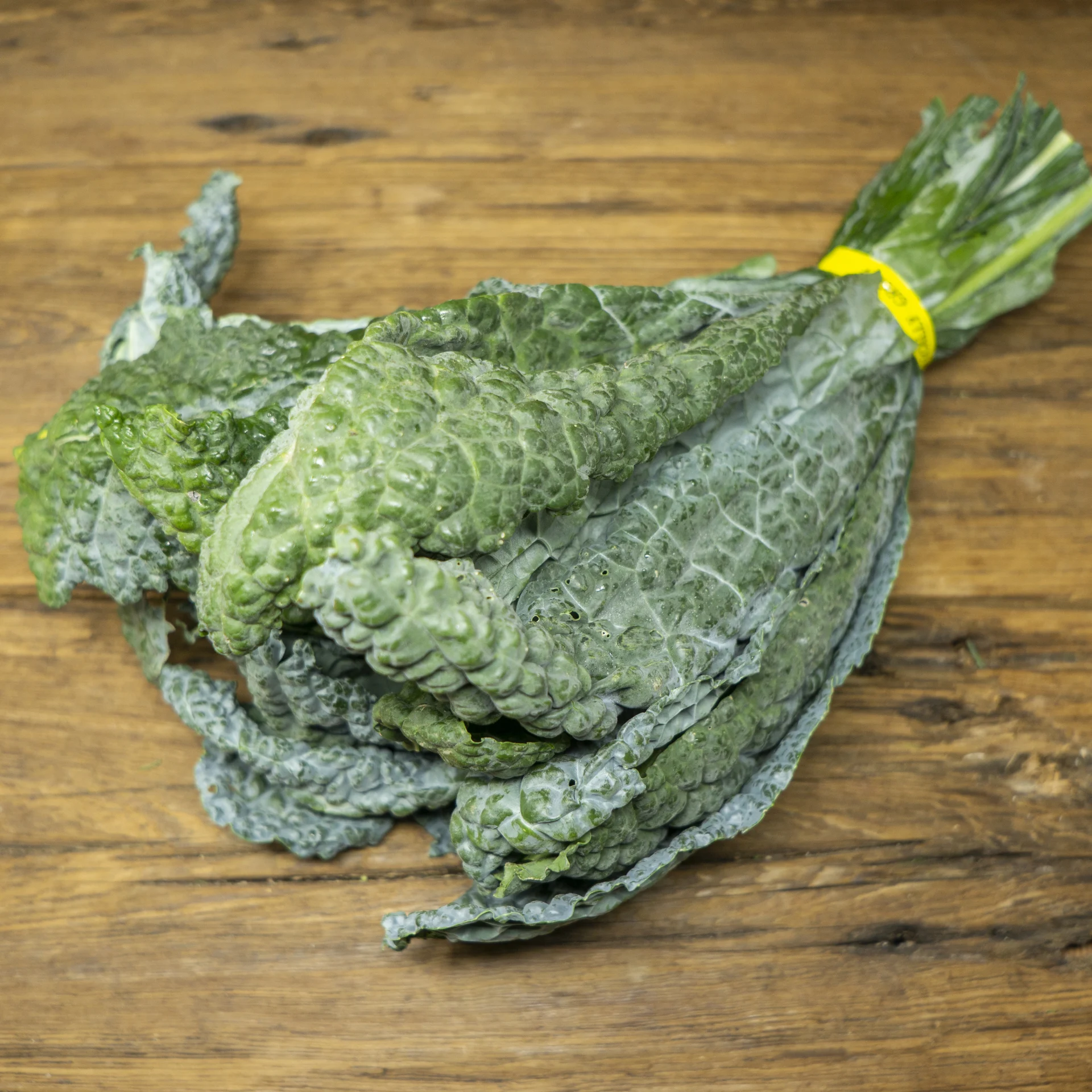 Kale, Lacinato (Dino)
